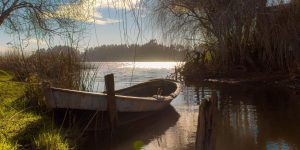 Recorre el Lago Budi, Puerto Saavedra y Puerto Domínguez