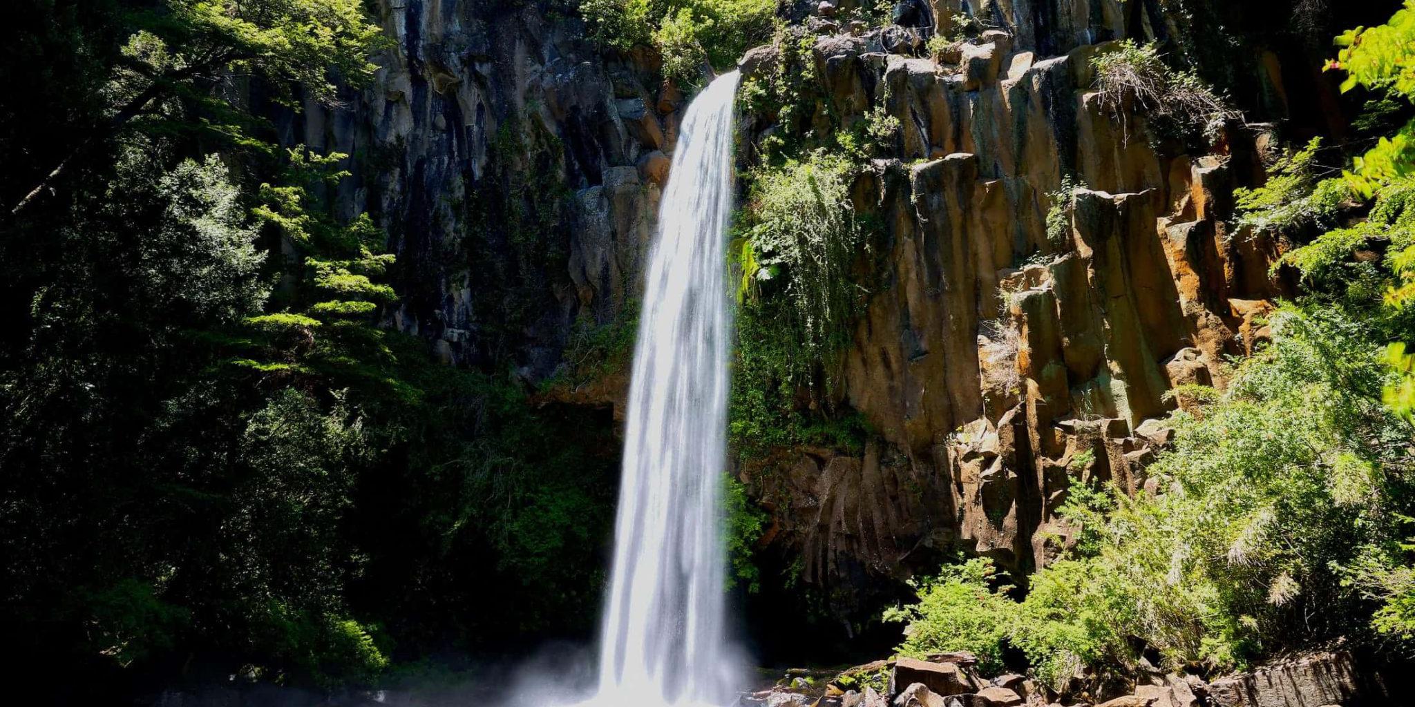 Vulkanische Herausforderung: Araukarien, Wasserfälle und Thermen