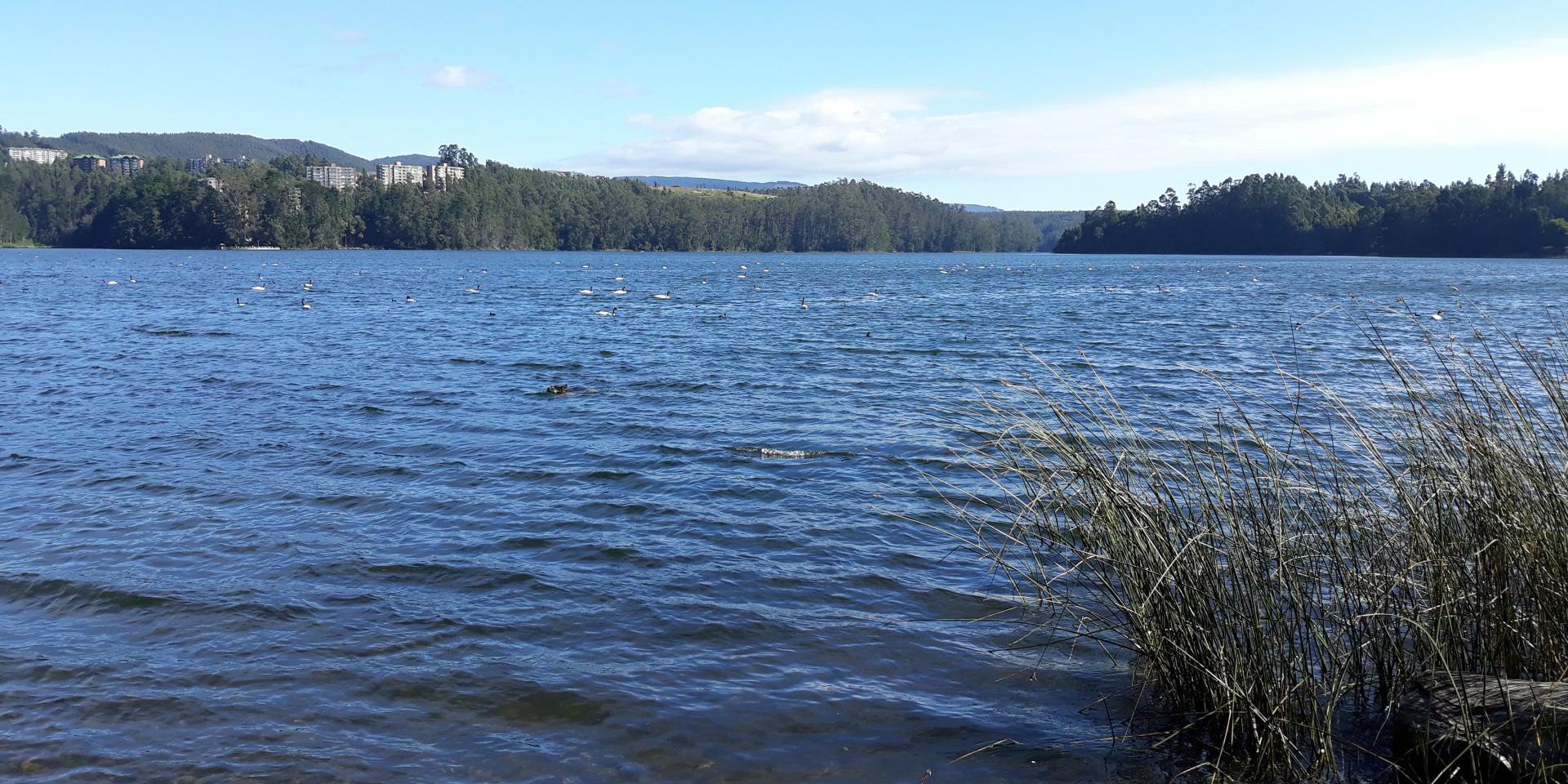 Navegação e pôr do sol em San Pedro de la Paz