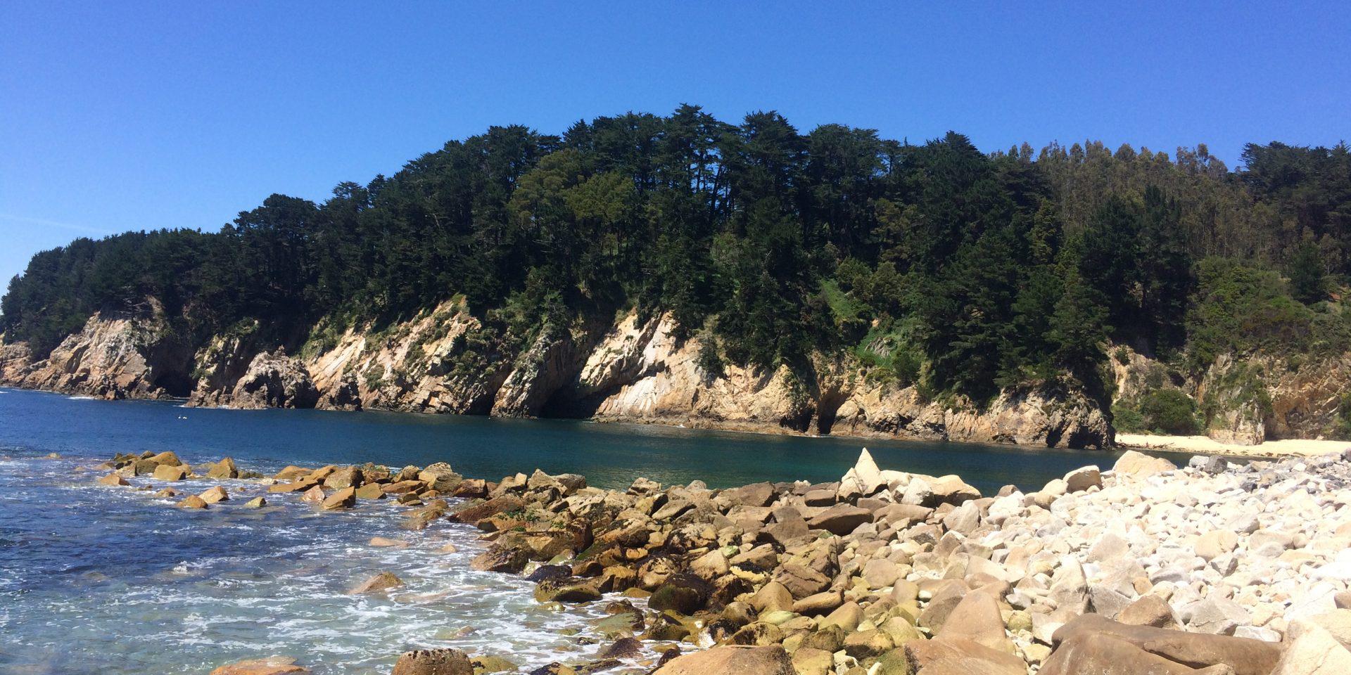 Adrenalina e natureza na península de Hualpén