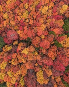 Equinoccio de otoño: una temporada para fotos de película