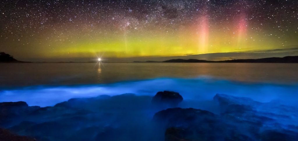 Bioluminescência no Chile: quando os abrigos do mar