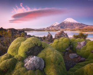 ¡Turismo verde! Rutas ecológicas por el desierto de Atacama