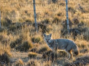 ¿Qué hacer en Tierra del Fuego?