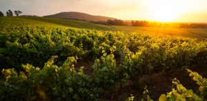 Conoce las mejores rutas para viajar por Chile: Cultura, patrimonio y paisajes