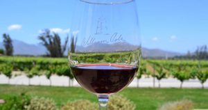 Die Weinstraßen in Chile mit den Augen brasilianischer Touristen