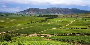 O'Higgins y Santiago: sabores, paisajes y cultura chilena