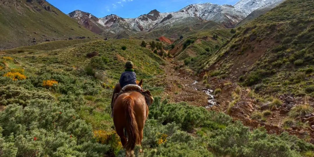 Voyage à Torres del Paine & Estancia Cerro Negro