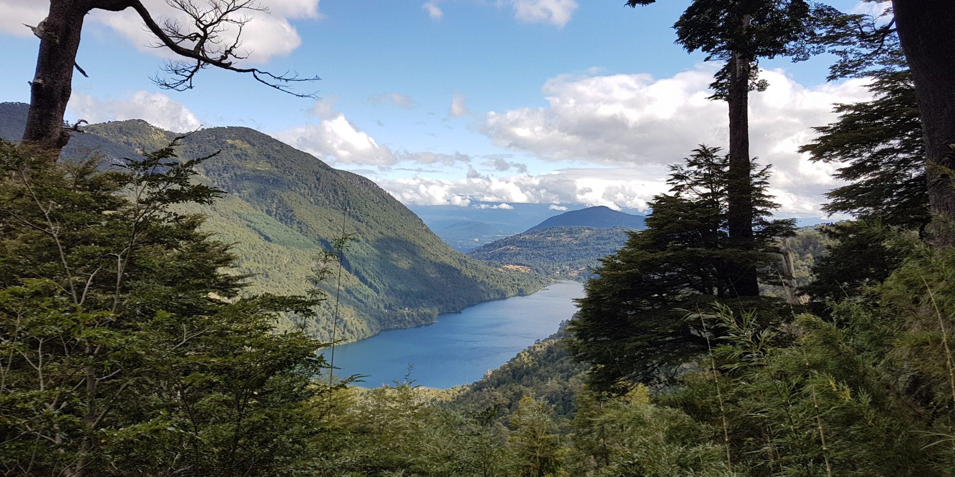 Wandern zwischen jahrtausendealten Araukarien und Bergseen