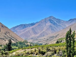 7 lugares para descubrir el origen del pisco chileno