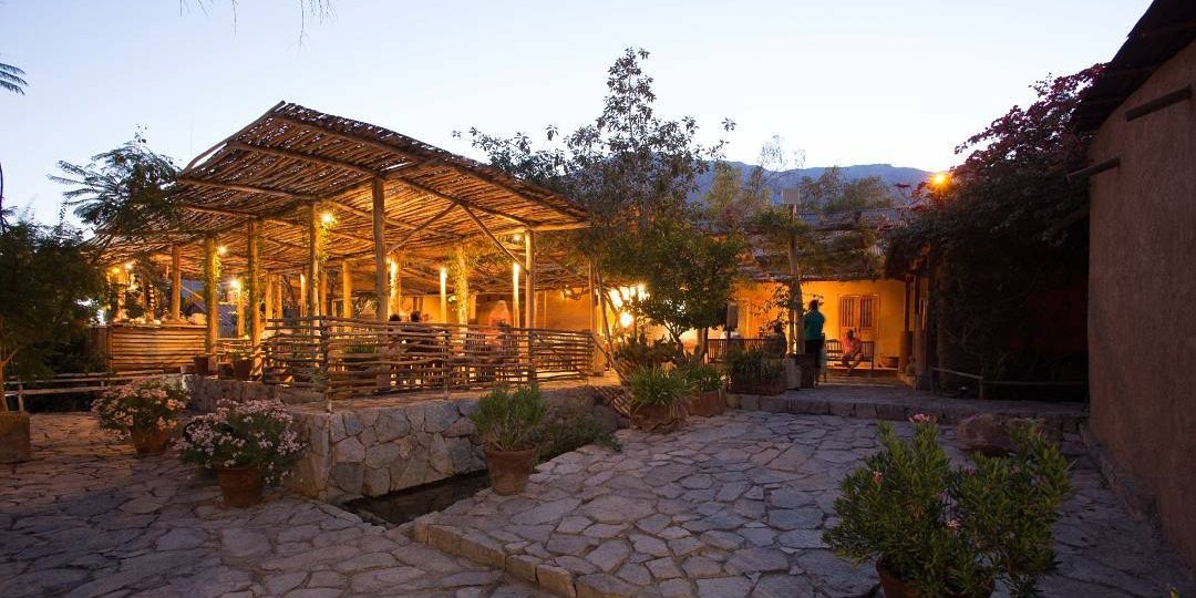 L'origine du pisco chilien