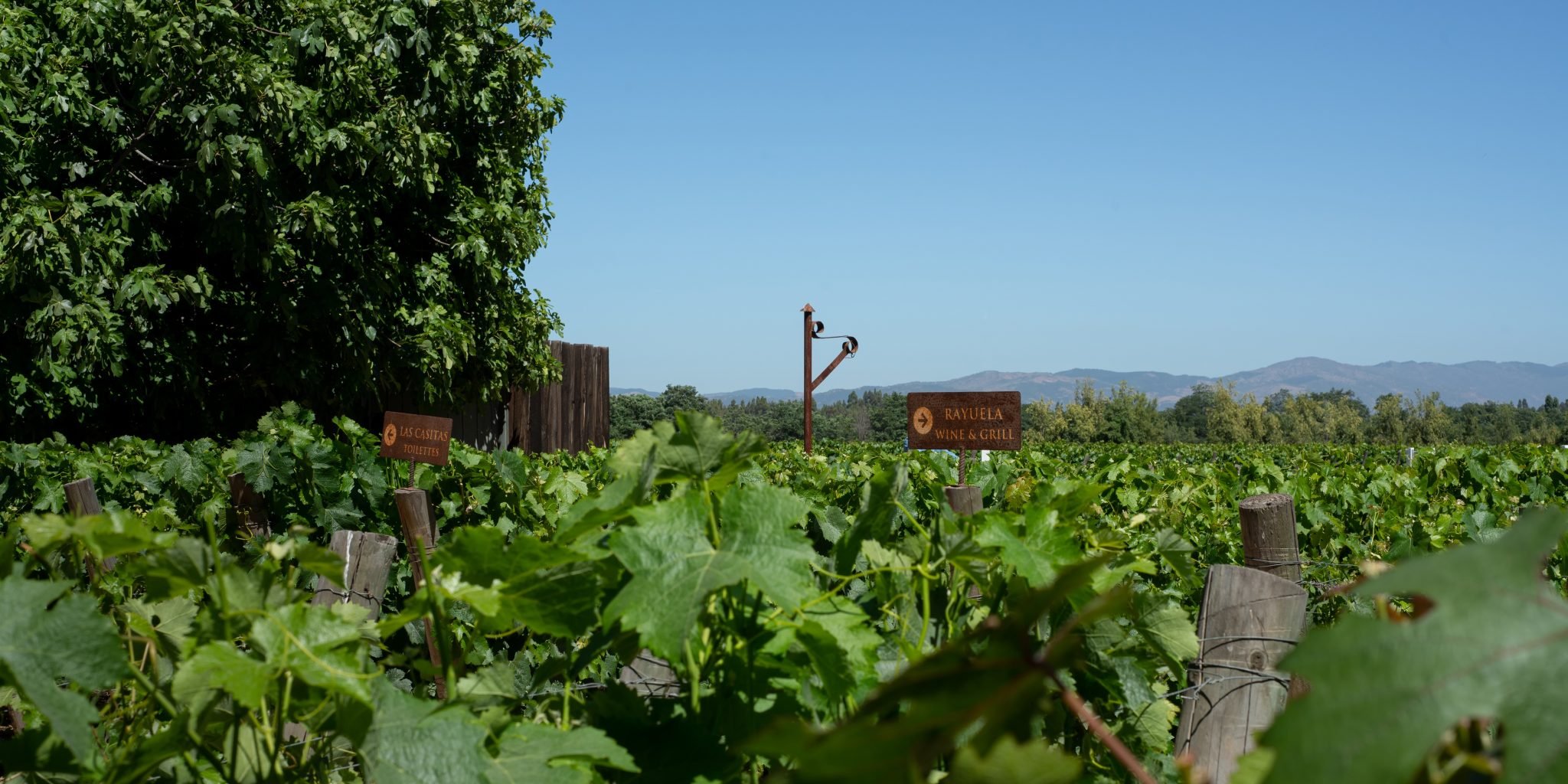 Entdecken Sie das Colchagua-Tal und sein unglaubliches Museum