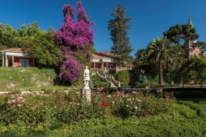 Three days in the main vineyards and valleys in Chile