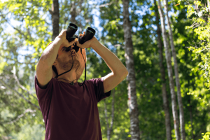 Birdwatching in Chile: 4 birds from the Los Lagos Region