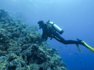 Buceo en Punta de Choros: sumérgete en un ecosistema único