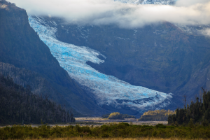 Parque Nacional Pumalín: la conservación como impulso del desarrollo local