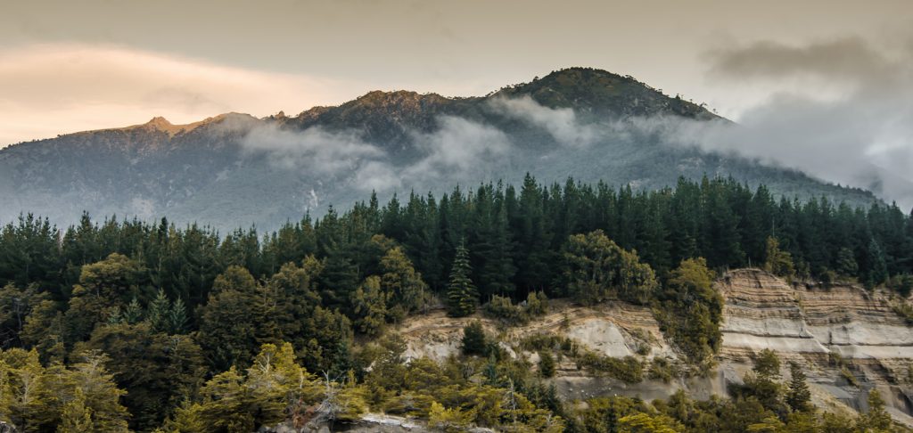 Conoce los Parques Nacionales de Chile: ¿Cuál es tu favorito?