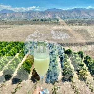 Happy Pisco Day! Learn 4 novel preparations