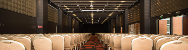 Guía de incentivos MICE