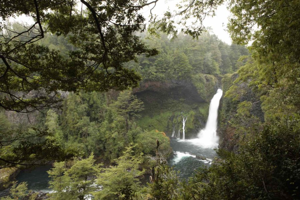 Explore as mágicas trilhas da Reserva Huilo-Huilo