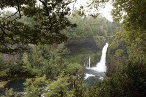 Explore as mágicas trilhas da Reserva Huilo-Huilo