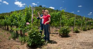 ¡Alerta de romanticismo! Cuatro lugares de Chile para visitar con tu pareja
