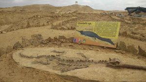 Los Dedos Paleontological Park