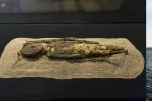 Viaje en el tiempo: turismo de paleontología y arqueología en Chile