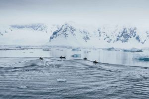 Isla Decepción: Un viaje al corazón volcánico de la Antártica 