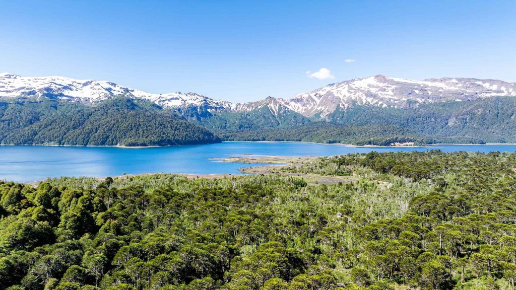 Parque Nacional Conguillío