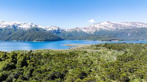 Parque Nacional Conguillío