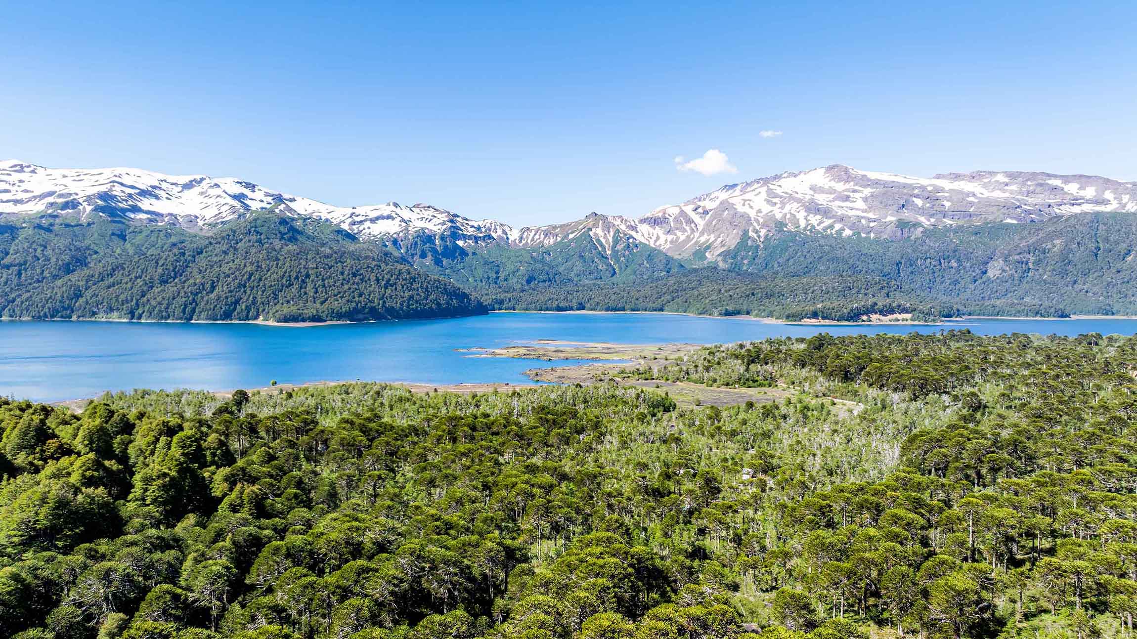 Nationalpark Conguill o Chile Travel