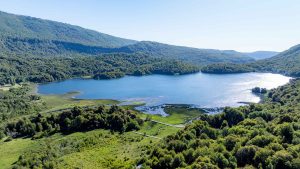 Dos días explorando el Parque Nacional Tolhuaca