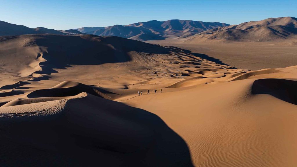 Desierto y Altiplano