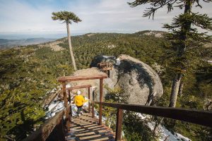 Parque Nacional Nahuelbuta