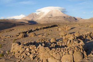 Reserva Nacional Las Vicuñas