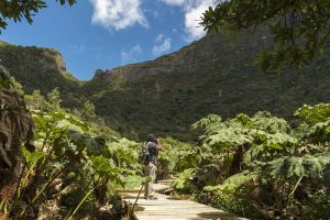 Parque Nacional Archipiélago de Juan Fernández