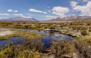Parque Nacional Volcán Isluga