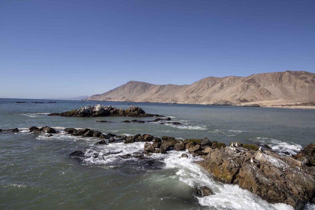 Pan de Azúcar National Park