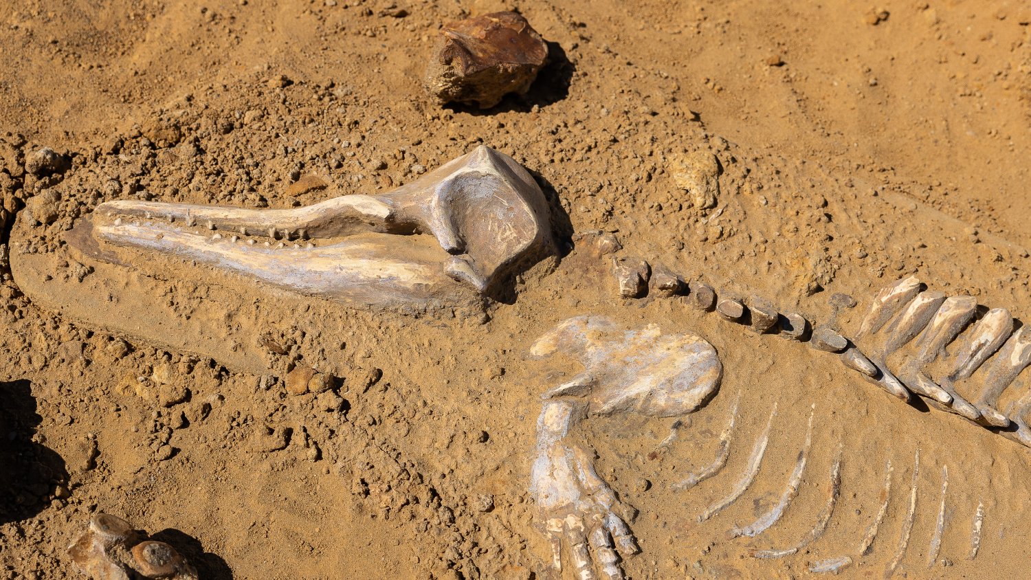 Parque Paleontológico Los Dedos