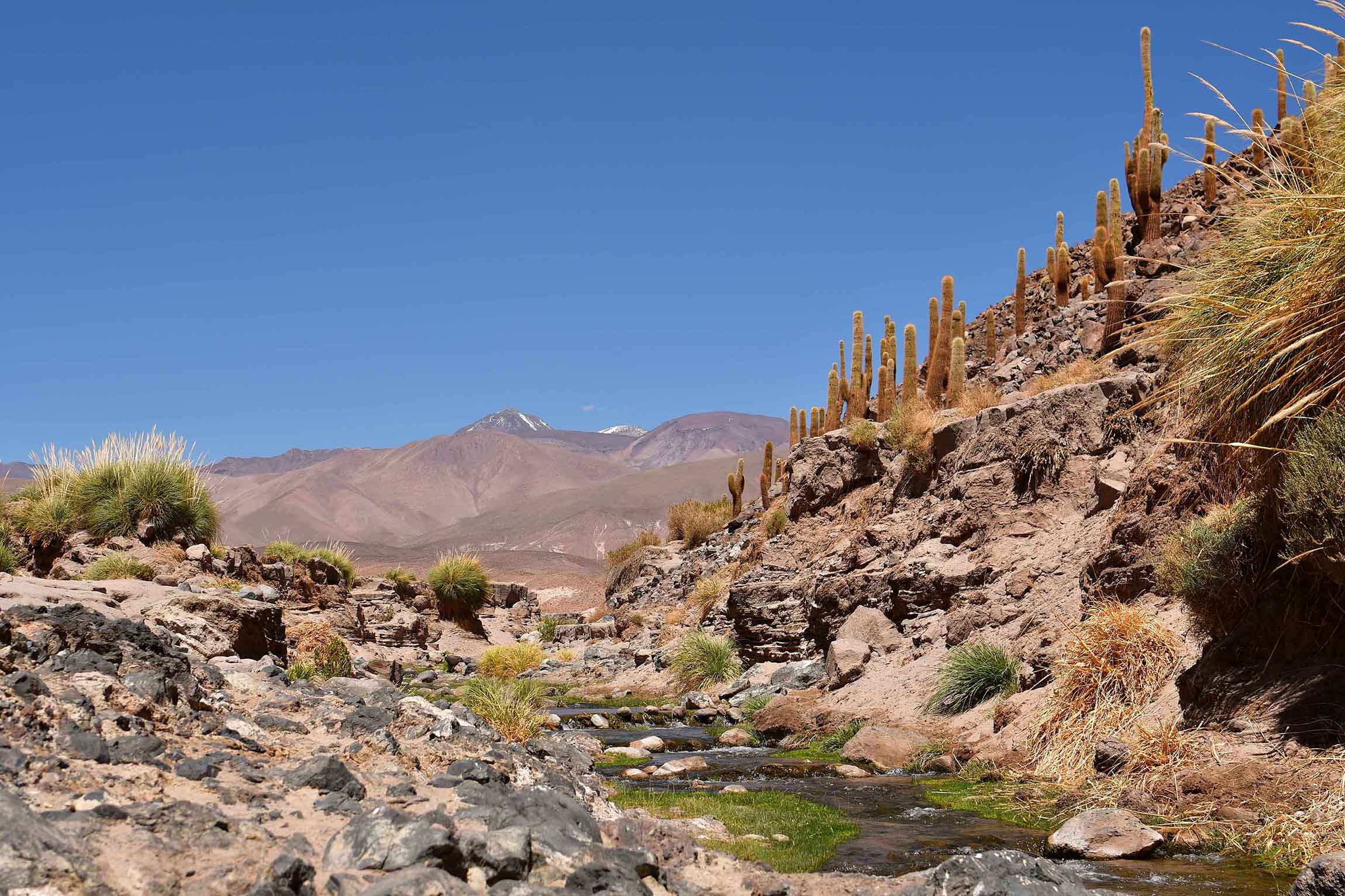 Adventure in Guatn and the Cactus Valley - Chile Travel