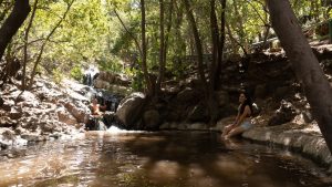 Día de trekking y vinos en el Valle del Cachapoal