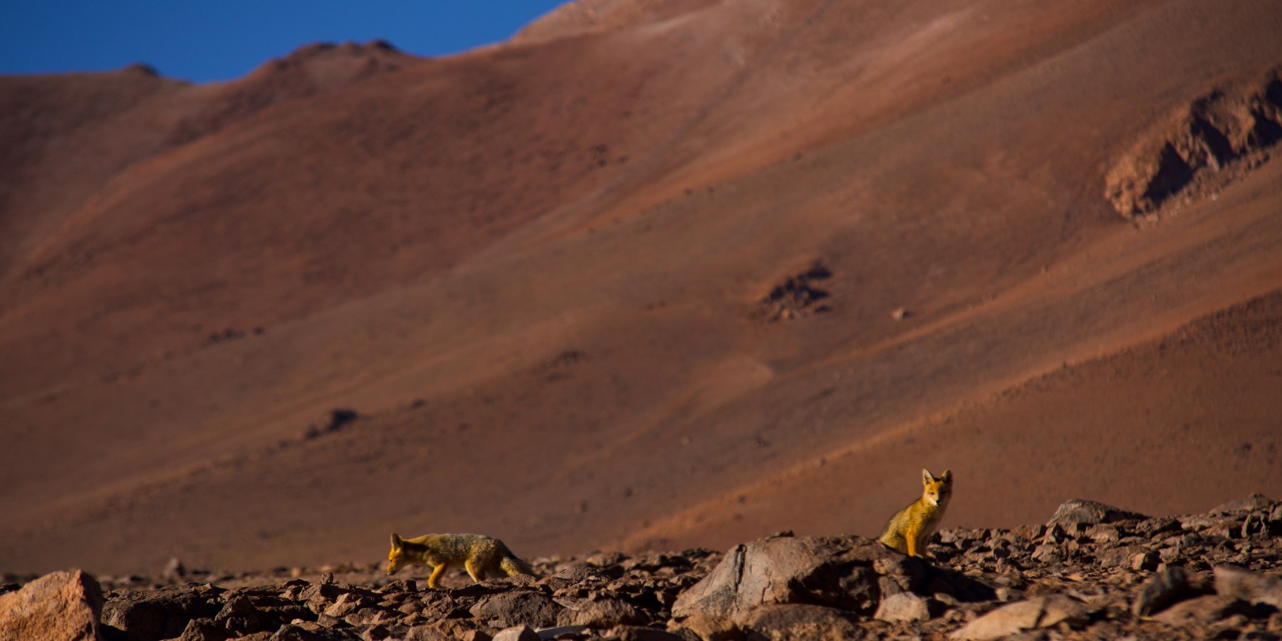 Exploración de la base del Volcán Ojos del Salado