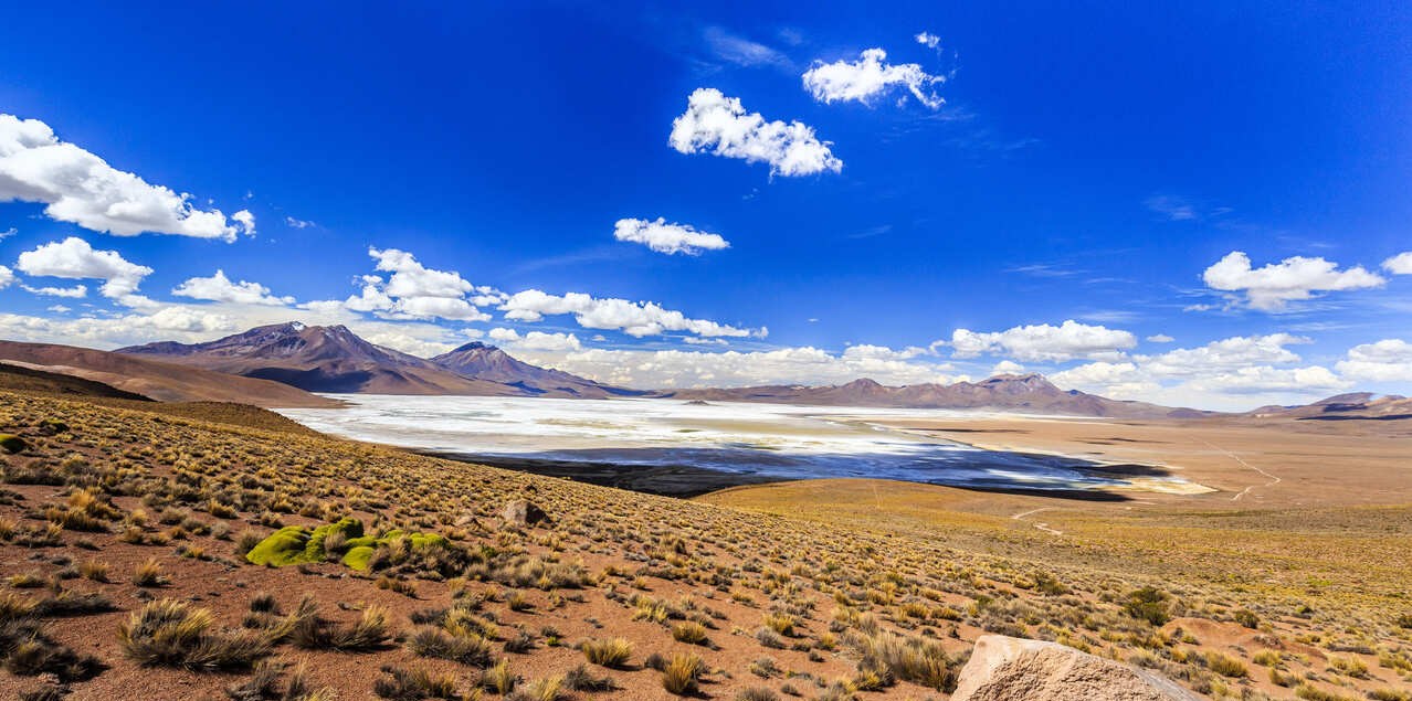 Salar de Surire y Termas de Polloquere