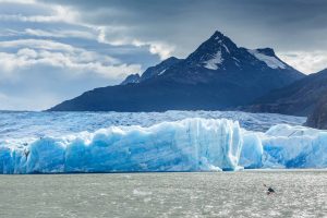 Glaciar Grey