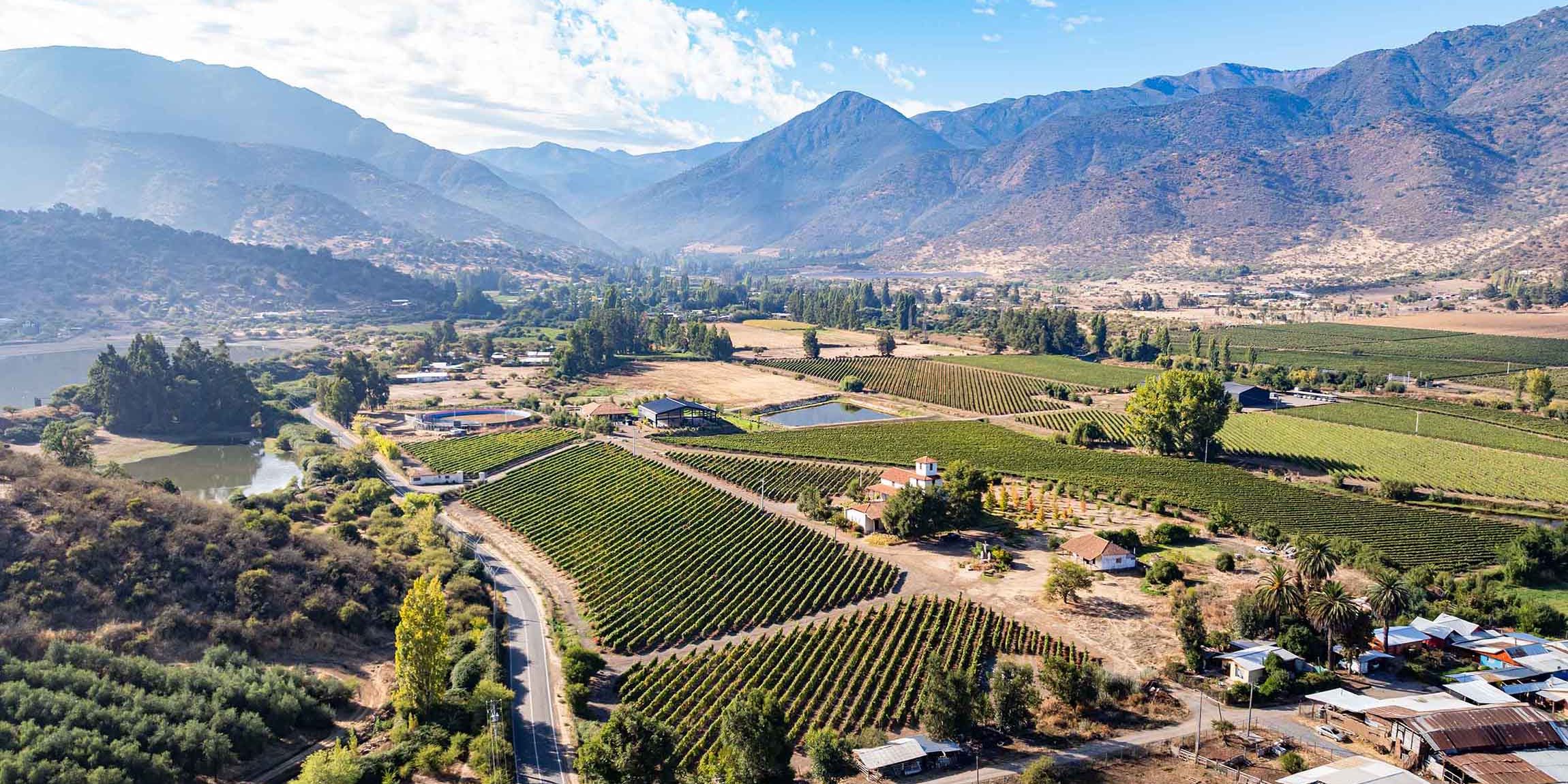 Museos y vinos de élite en Cachapoal 