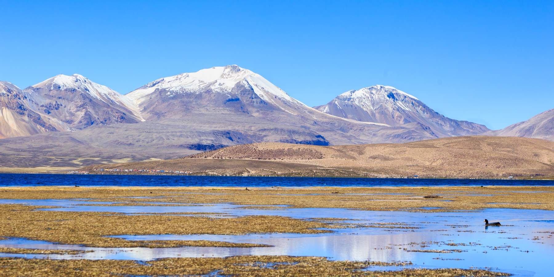 Visita al Lago Chungará