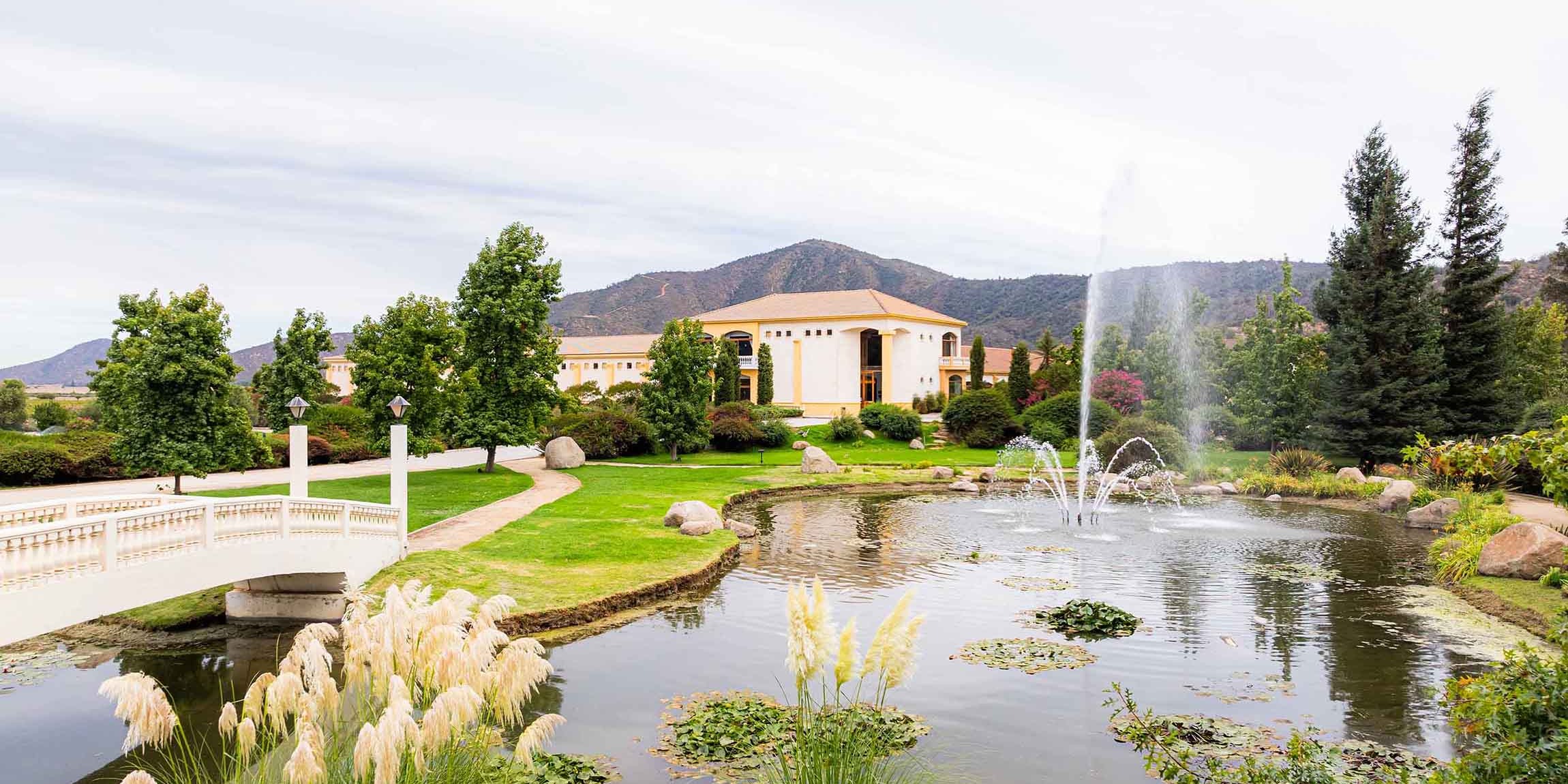 Naturaleza, vinos y sabores del valle