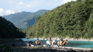 Guía por Los Lagos: Paso El León y Petrohué