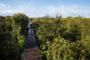 Itinerario por Chiloé: Naturaleza y cultura ancestral